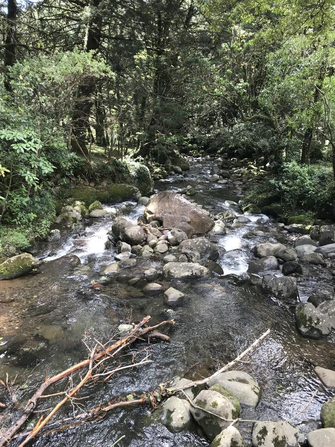 Cabana Mountain View Heredia Bagian luar foto